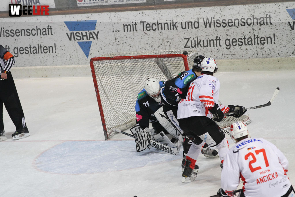 Selber Wölfe - EV Regensburg