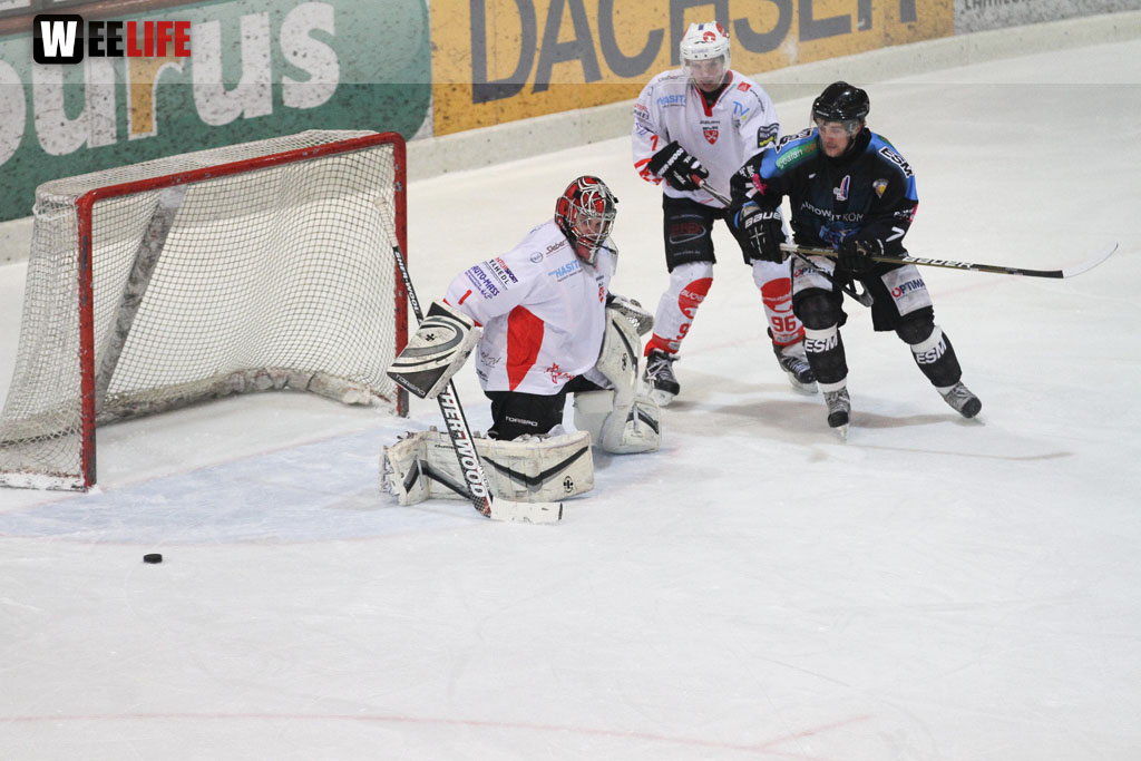 Selber Wölfe - EV Regensburg