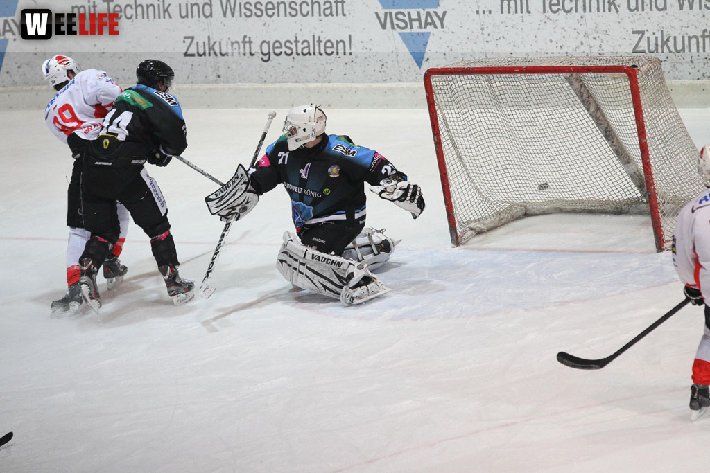 Selber Wölfe - EV Regensburg