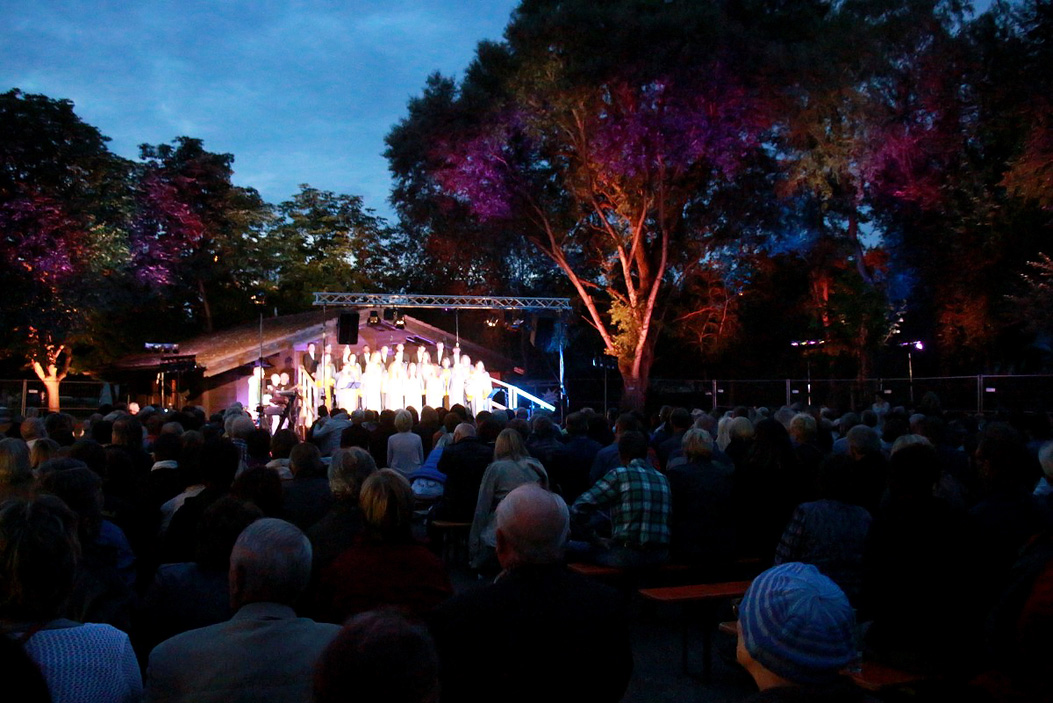 Fotos dieser Veranstaltung: Sommerabend am Saaleufer mit Joy in Belief