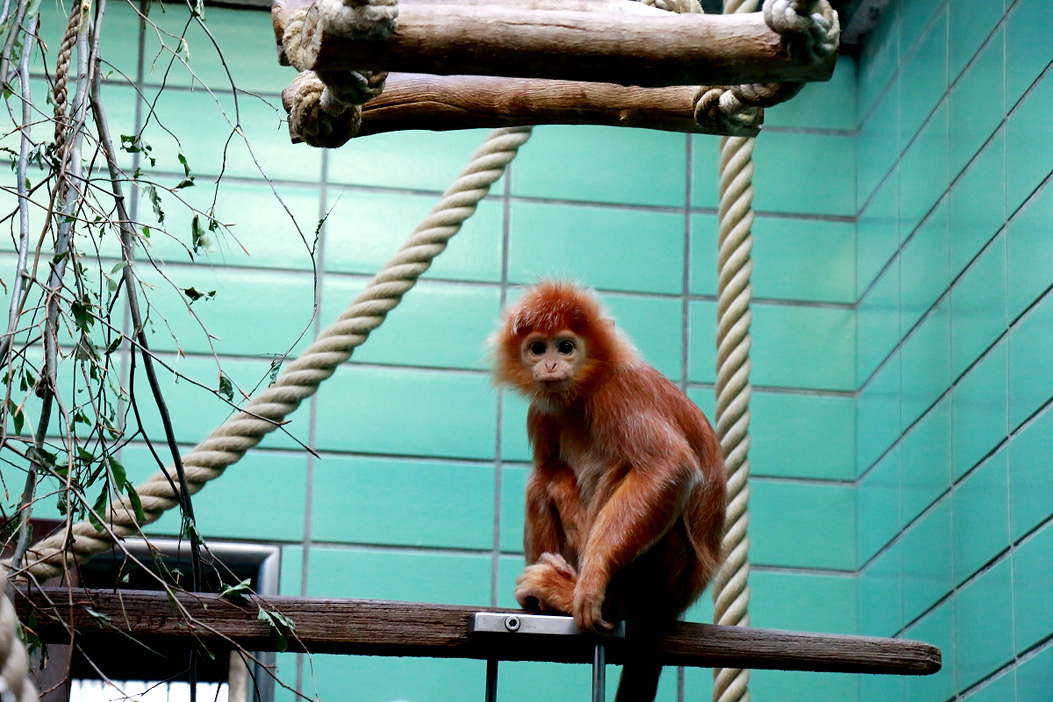 Fotos dieser Veranstaltung: Wilhelma Stuttgart Zoo