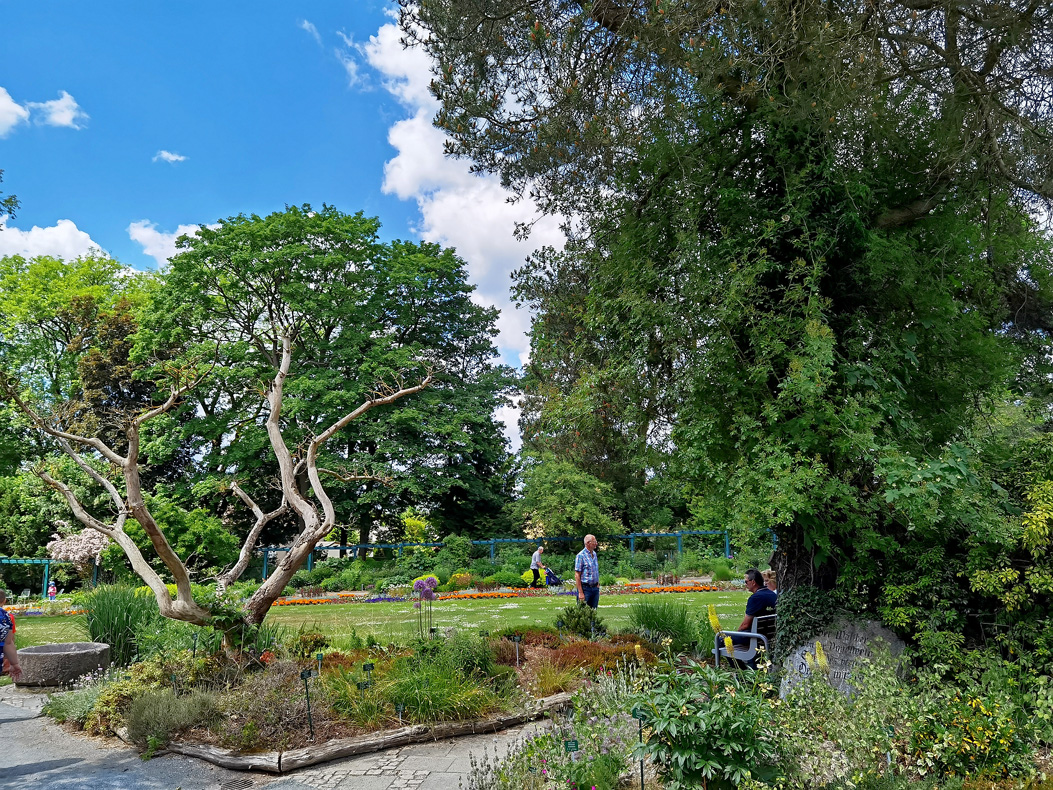 Botanischer Garten 12.6.22