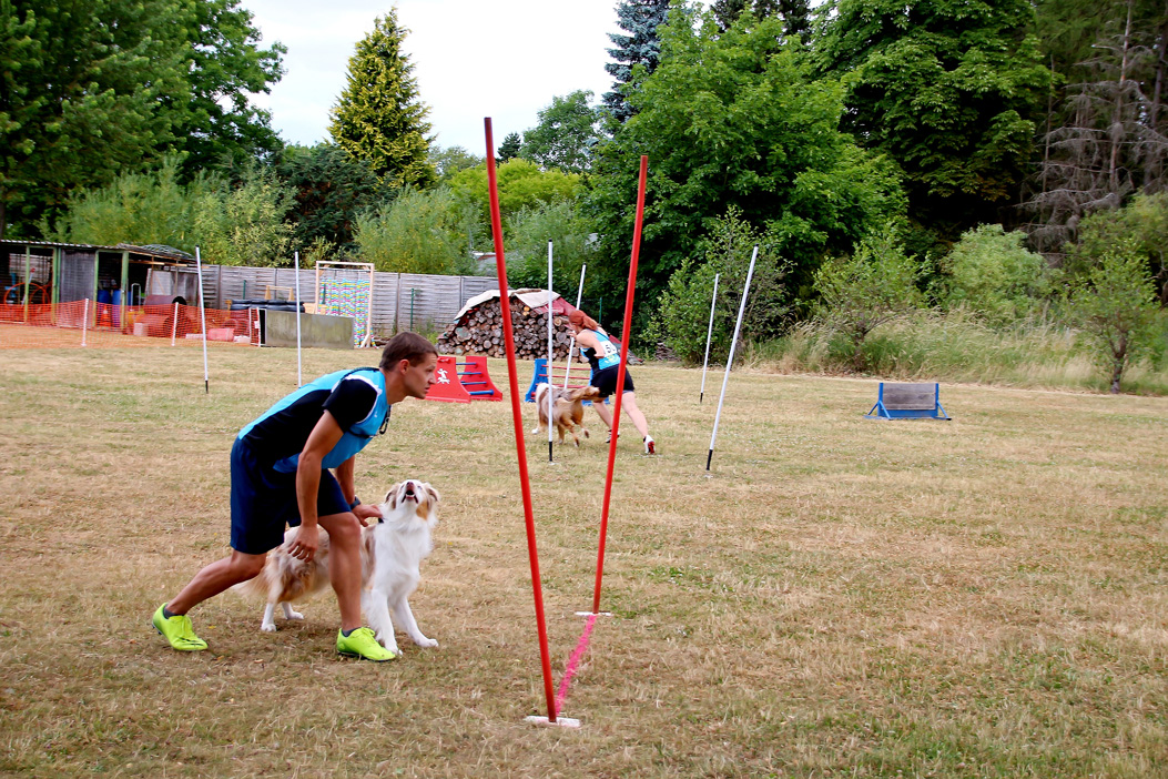 Bayerische Meisterschaft im Turnierhundesport