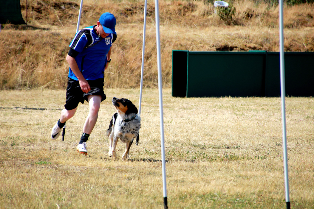 Fotos dieser Veranstaltung: Bayerische Meisterschaft im Turnierhundesport