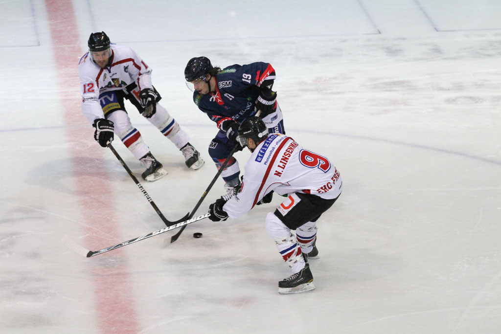 Selber Wölfe - EHC Freiburg