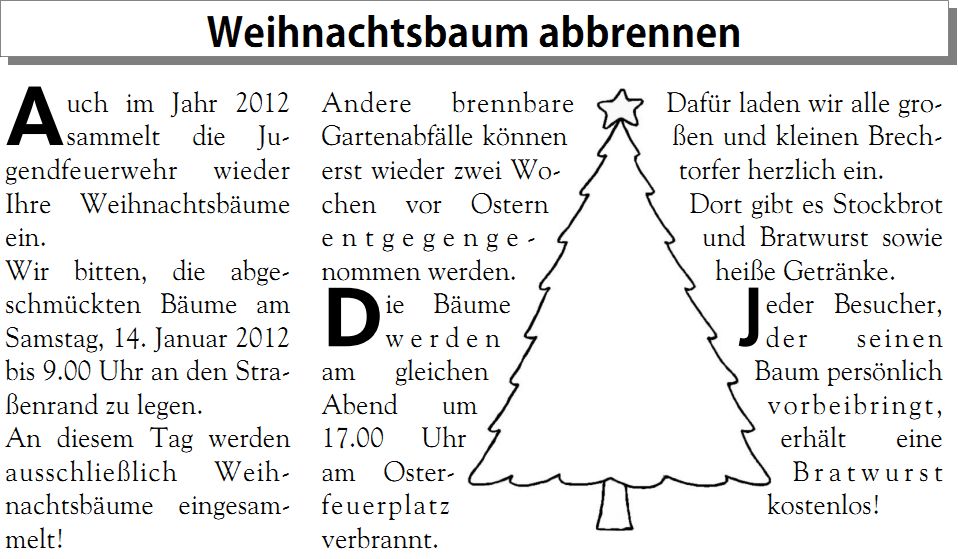 Fotos dieser Veranstaltung: Weihnachtsbäume verbrennen